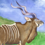 African Kudu African Kudu