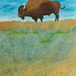 Buffalo Roam Buffalo Roam