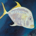 Grumpy Reef Fish Grumpy Reef Fish