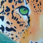 Leopard eye Leopard eye