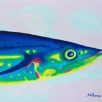 Melancholy Mackerel
