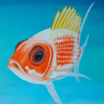 Squirrelfish Squirrelfish
