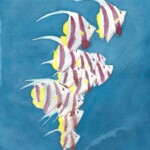 Schooling Angels Schooling Angels