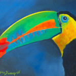 Blue Toucan Blue Toucan