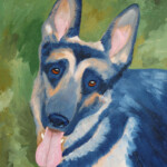 German Shepard German Shepard