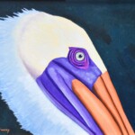 Pelican Portrait Pelican Portrait