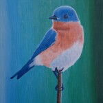 Blue Bird Blue Bird