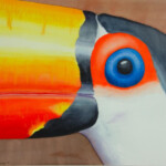 GrandPa Toucan GrandPa Toucan