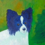 Papillon Myles Papillon Myles