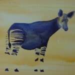 African Okapi African Okapi