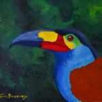 Plate Billed Mountain Toucan Plate Billed Mountain Toucan