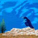 Raven-on-the-Rim Raven-on-the-Rim