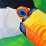 Tommy Toucan Tommy Toucan